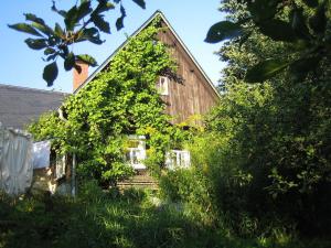 Une ancienne grange avec un tas de lierre qui y grandit dans l'établissement Spacious holiday home with garden, à Bergen