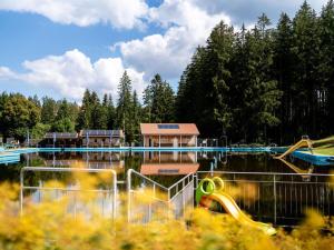 Romantic maisonette في سخوناخ: حديقة مائية مع ملعب وزحليقة