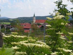 a town with a church in the distance with white flowers at Barbara Hintermair in Bischofsmais