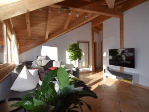 a living room with a couch and a tv at Favorite place 2 in Garmisch-Partenkirchen