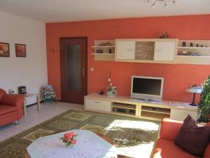 een woonkamer met een oranje muur en een televisie bij Rose ambience Modern retreat in Bad Langensalza