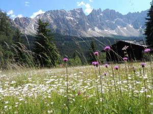 Gallery image of Columbine Modern Retreat in Carezza al Lago