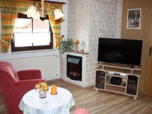 a living room with a fireplace and a television at in the Oertel holiday home 