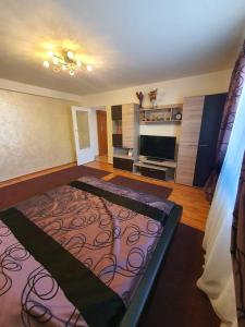 a bedroom with a large bed and a television at Cetate Apartament in Alba Iulia