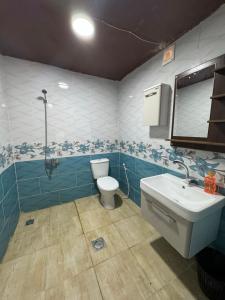 a bathroom with a toilet and a sink at شاليه البحر الميت الرامة-Deadsea in Al Rama