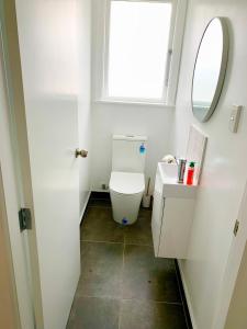 ein Bad mit einem WC, einem Waschbecken und einem Fenster in der Unterkunft Comfy & Sunny home in Wellington in Wellington