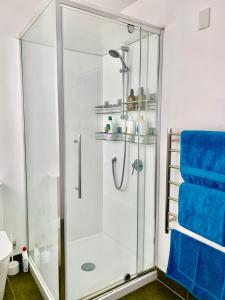 a shower with a glass enclosure in a bathroom at Comfy & Sunny home in Wellington in Wellington