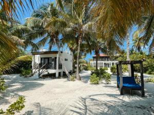a house on a beach with palm trees and a blue chair at North Beach Retreat in San Pedro +38 photos