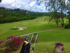 Tiện nghi golf gần/tại căn hộ