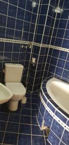 a blue tiled bathroom with a toilet and a tub at Dimoski Apartment in Prilep