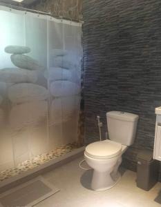 y baño con aseo y ducha. en Da Arreglados’ Beach House, en Abra de Ilog