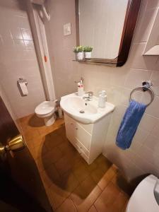 ein kleines Bad mit einem Waschbecken und einem WC in der Unterkunft Apartament Central Castellon! in Castellón de la Plana