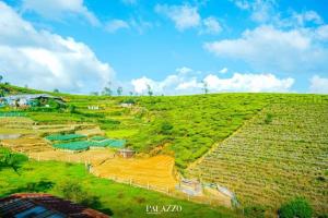 Una colina verde con una granja. en Palazzo Lake Gregory en Nuwara Eliya
