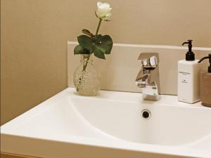a bathroom sink with a vase with a flower in it at Sewefontein Guest Farm in Citrusdal