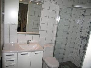a bathroom with a toilet and a sink and a shower at "Butikken" - Zeecabines in Ulvik