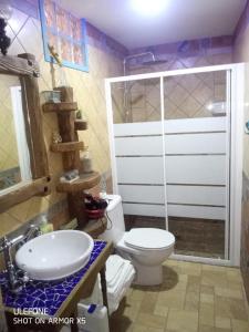 a bathroom with a shower and a toilet and a sink at Casa Rural El Callejón in Albalate de Zorita