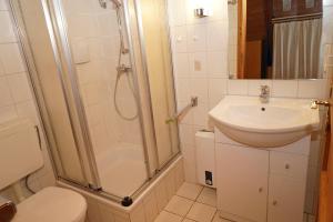 a bathroom with a shower and a sink and a toilet at Zeltdachhaus mit Kamin und grosser Terrasse in Damp