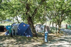 a group of tents under a tree in a park at Cerquestra Camping Village in Monte del Lago