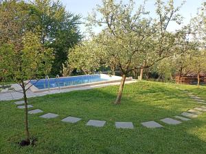 un jardín con piscina y 2 árboles en Pension Verde, en Baia-Sprie