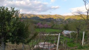 una vista de un campo con montañas en el fondo en Spring Village Home, en Përmet