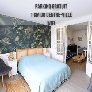 1 dormitorio con 1 cama y sala de estar en Appartement 2 à 4 pers cosy à proximité du centre en Bagnères-de-Bigorre