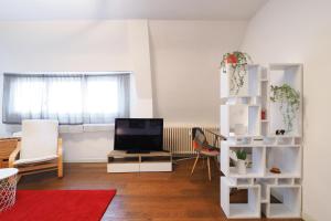 sala de estar con TV y alfombra roja en Primopiano - Fargorida 6, en Milán