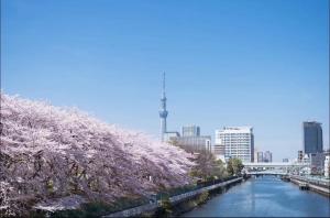 widok na rzekę z drzewami w mieście w obiekcie TOKYOSTYLE w Tokio