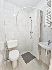 a bathroom with a toilet and a sink at Mazury Apartament/Dom z ogródkiem całoroczny przy jeziorze in Sędańsk