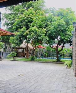 Vamana Bangsal في Pawenang: حديقة بها أشجار وطاولات وكراسي