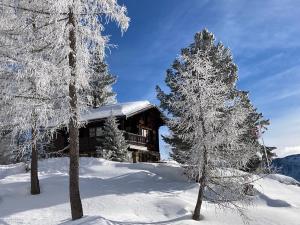 una cabaña de madera en la nieve con árboles en Chalet Balfrin Alpweg 9 Postfach 2038 Riederalp, en Riederalp