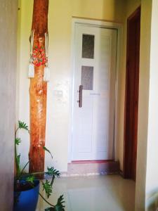 a door in a room with a plant in front of it at Couple's Unit at BOONE'S in Sagada
