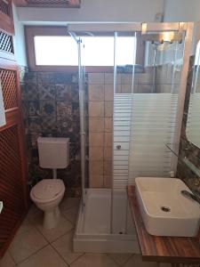 een badkamer met een toilet, een douche en een wastafel bij Veronika Panoráma Villa in Paloznak