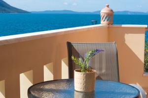 a table with a potted plant on a balcony with the ocean at Ostrella Hotel - Luxury rooms in Mýtikas