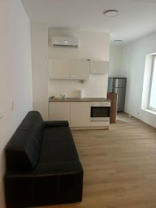 a living room with a black couch and a kitchen at Bodensee Apartments in Friedrichshafen