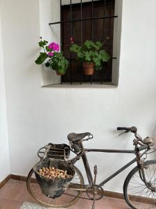 a bike parked next to a wall with a window with flowers at Hotel 3* La Casona de las Flores in Ondara