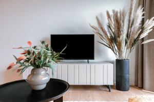 a living room with a tv and two vases with plants at Modern apartment close to the beach with common pool in Ostend