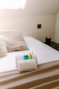 Posteľ alebo postele v izbe v ubytovaní Tosca - Charming double room at ranch "De Blauwe Zaal"
