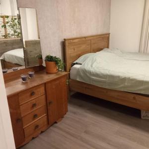 ein Schlafzimmer mit einem Bett und einer Kommode mit Spiegel in der Unterkunft Erve Boonk in Neede