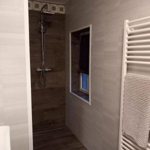 een badkamer met een douche, een raam en een televisie bij Erve Boonk in Neede