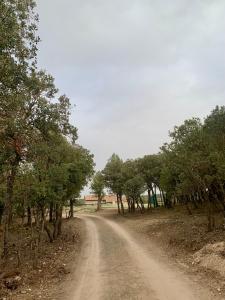 een onverharde weg in het midden van een veld met bomen bij Masia La Casablanca in La Puebla de Valverde