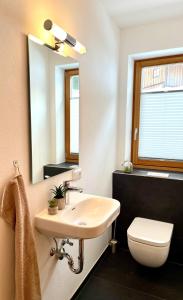 ein Badezimmer mit einem Waschbecken, einem WC und einem Spiegel in der Unterkunft Alpenlodge Charivari - SommerBergBahn unlimited kostenlos in Oberstdorf