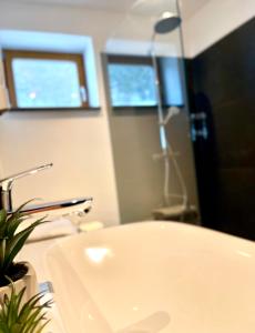 ein Badezimmer mit einem weißen Waschbecken und einem Spiegel in der Unterkunft Alpenlodge Charivari - SommerBergBahn unlimited kostenlos in Oberstdorf