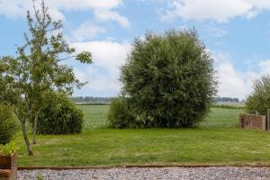 dos árboles en un patio con un campo en el fondo en Charming house "De Ransuil" in De Haan, en De Haan