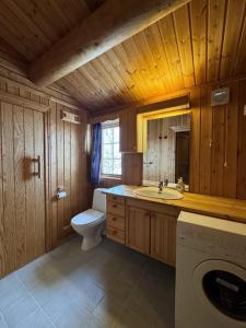 貝圖斯托的住宿－Nostalgi i Stakkstøli，浴室配有卫生间、盥洗盆和洗衣机。