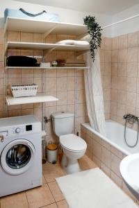 a bathroom with a toilet and a washing machine at Cosy apartment Zugló next to Puskás Aréna in Budapest