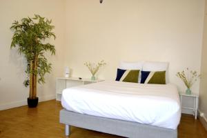 1 dormitorio con 1 cama blanca grande y 2 plantas en Hôtel Alizéa, en La Rochelle