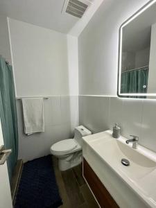 a bathroom with a toilet and a sink and a mirror at Fedua - Unique Apartment in Guatemala