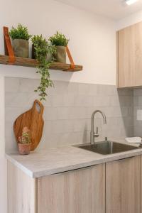 a kitchen counter with a sink and some plants at Cosy apartment with vintage interior in De Haan