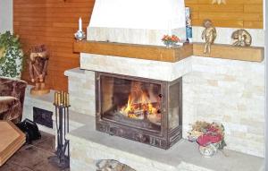 a fireplace in a living room with a fire at Nice Apartment In Altenberg With Wifi in Bärenstein