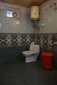 Bagno di Hotel Neelgiri - Manali Diaries